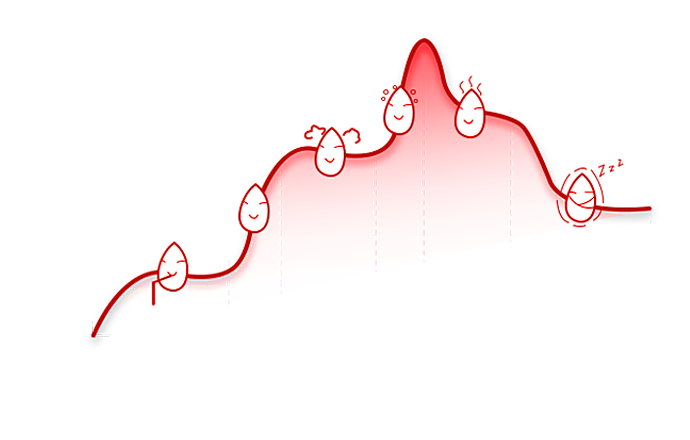 开云电竞(中国游)有限公司官网
